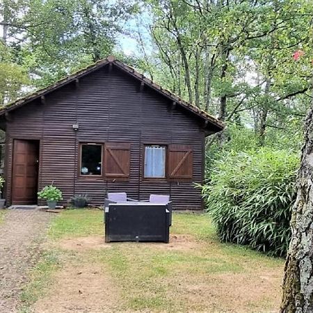 Weir Cottage Balledent Kültér fotó